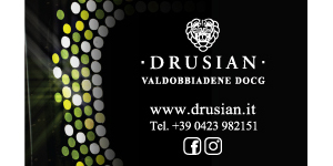 drusian_300x150