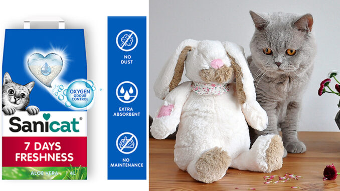 pasqua-gatti_00